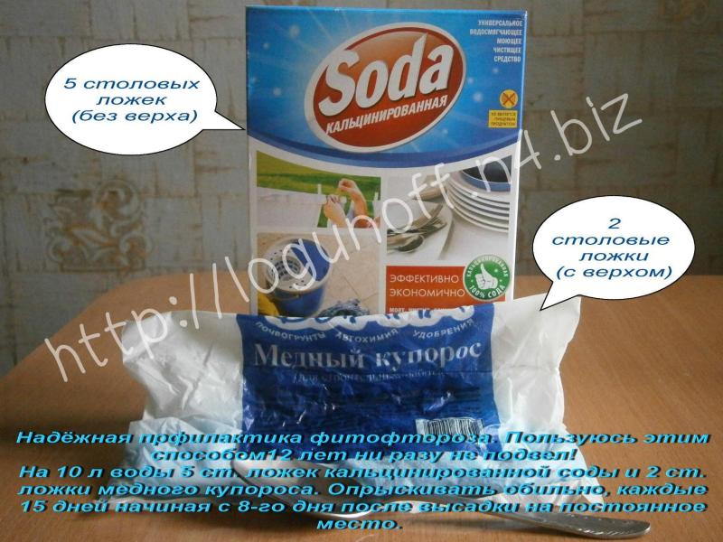 Рецепт от фитофторы