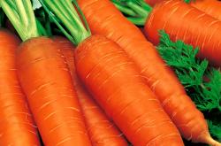морковь "Мергеланус" 0,2 г