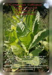 семена табака  трубочный ORINOCO (ориноко) 200...