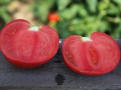 семена томата "Китайский рубин" (15 шт)